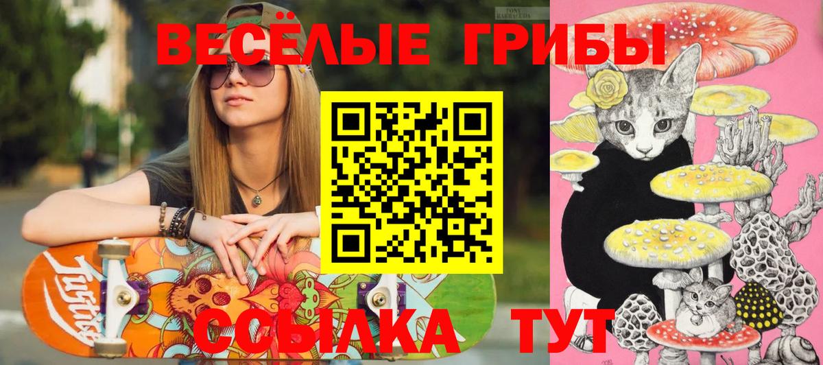 Кинешма  Галлюциногенные грибы мухоморы  Вход с VPN 
